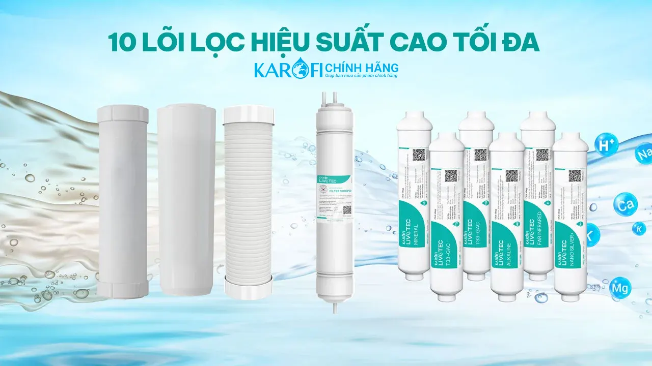 Máy lọc nước nóng lạnh Karofi Livotec 616