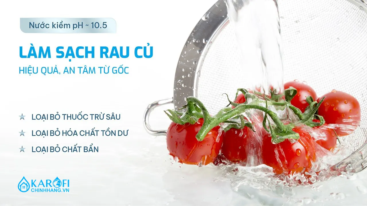 Hõ trợ tiêu hóa